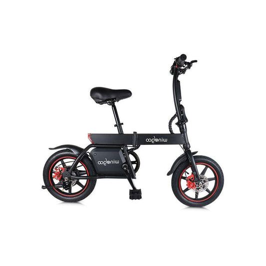 Windgoo B20 Electric Bike Foldable For Daily Commuter