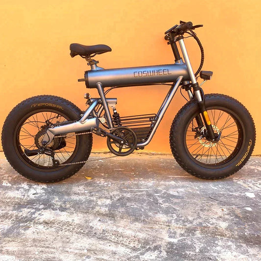 Coswheel T20 All Terrain Cargo Electric Bike - Pogo Cycles available in cycle to work