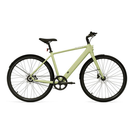 Tenways CGO600 Pro Electric Bike