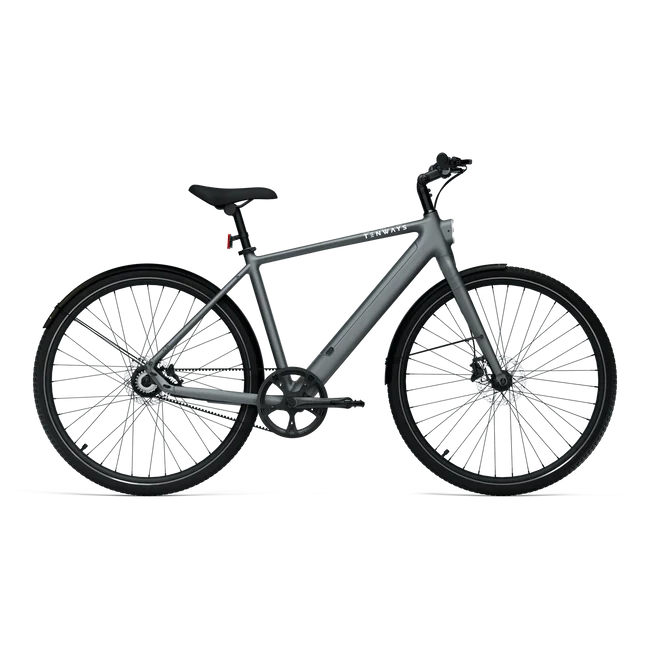 Tenways CGO600 Pro Electric Bike