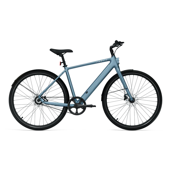 Tenways CGO600 Pro Electric Bike