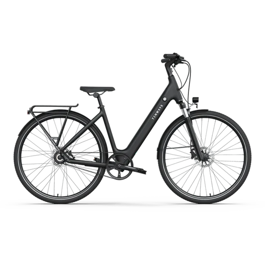 Tenways CGO800S Step Thru Electric Bike